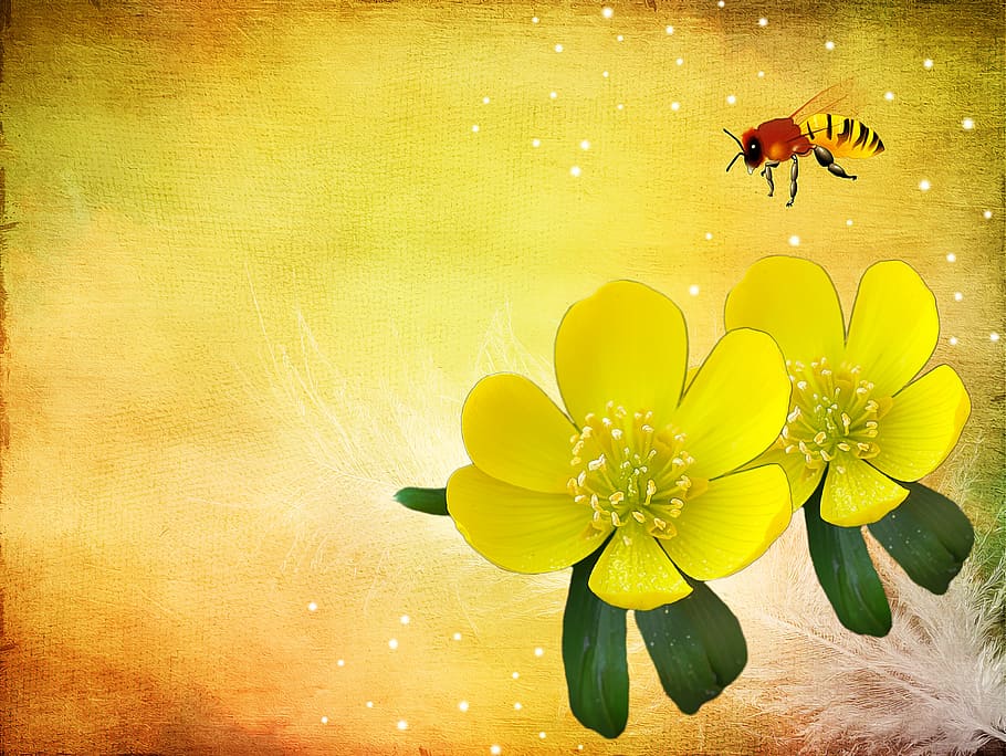 painting of bee flying above yellow flowers, potentilla, kobold