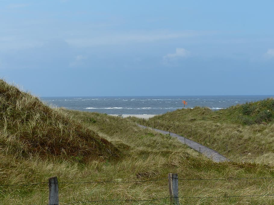 north sea, dunes, coast, east frisia, spiekeroog, landscape, HD wallpaper