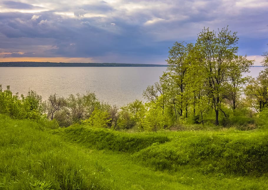 nature, landscape, tree, panoramic, grass, summer, cloud, plant HD wallpaper