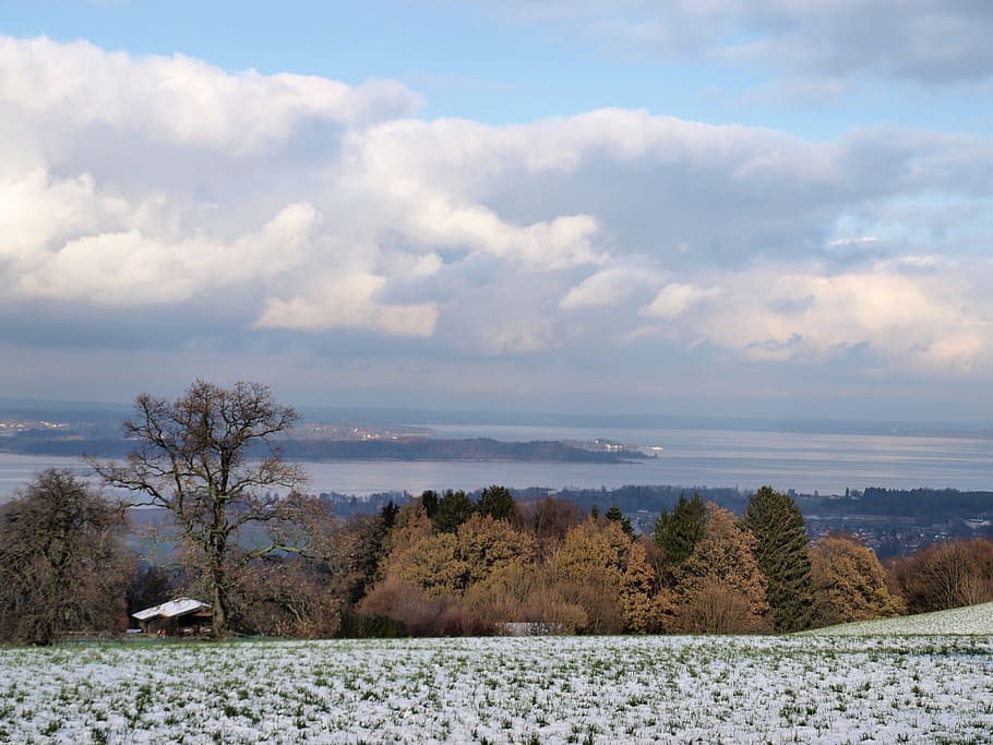chiemsee, winter, light and shadow, sky, cloud - sky, tree HD wallpaper
