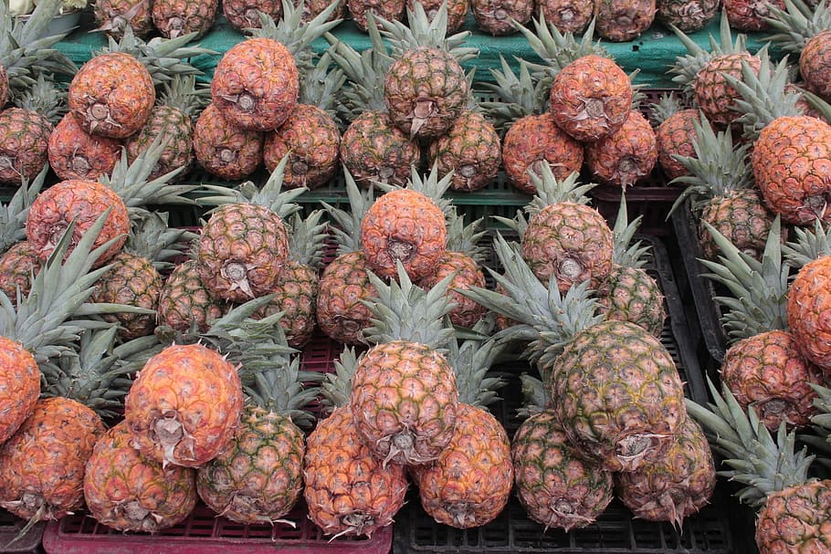 Pineapple, Gallery, Fruit, Yellow, Food, healthy, vegetables HD wallpaper