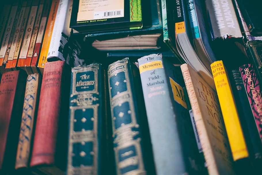 assorted book lot, book stack, bookcase, books, business, colors HD wallpaper