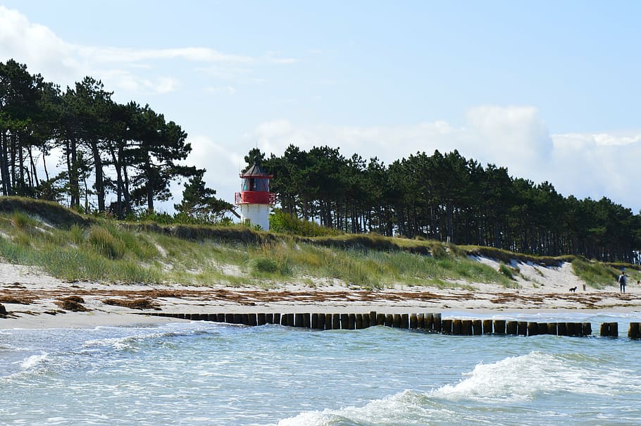 hiddensee, baltic sea, wave, lighthouse, pine, nature, water HD wallpaper