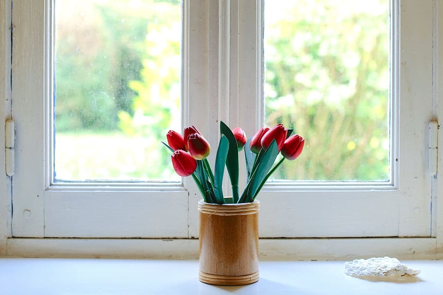 eight red tulip flowers in brown vase, bloom, blossom, decoration HD wallpaper
