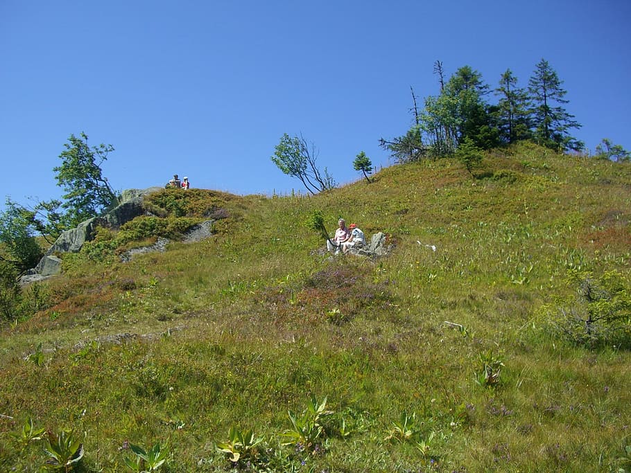 picnic, feldberg, hiking, plant, tree, grass, sky, nature, land HD wallpaper