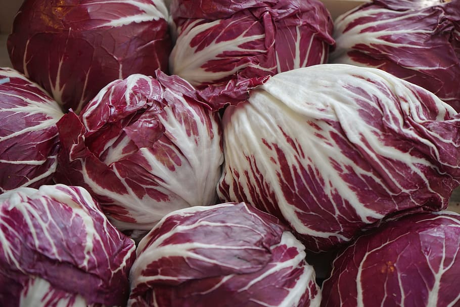 white-and-purple cabbages, Radicchio, Salad, Chicory, red, market HD wallpaper