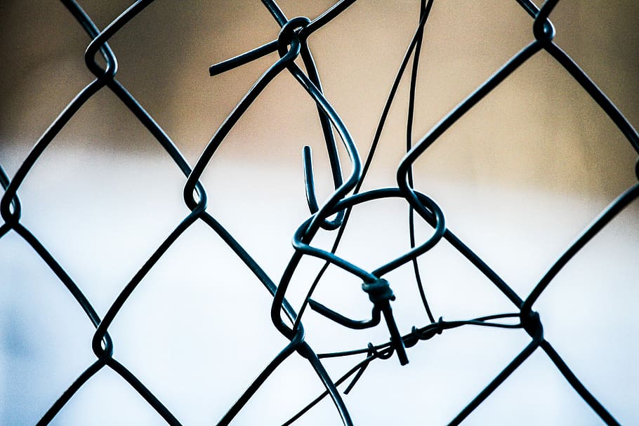 Fence, Jams, Cooked, chainlink fence, metal, no people, close-up HD wallpaper