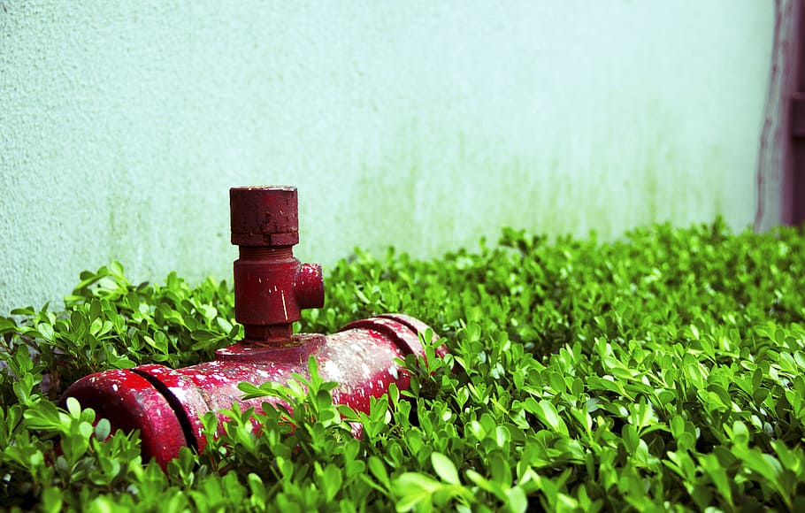 Fire Hose, Small, Fresh, green, small fresh, grass, green color HD wallpaper
