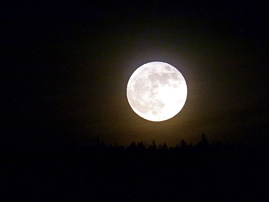 full moon, night, sky, moonlight, satellite, sphere, round HD wallpaper