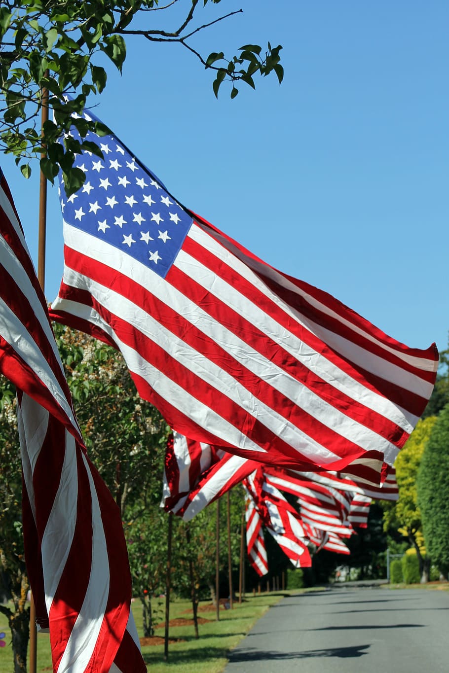 flag, cemetery, memorial day, flags, america, patriotism, sky HD wallpaper