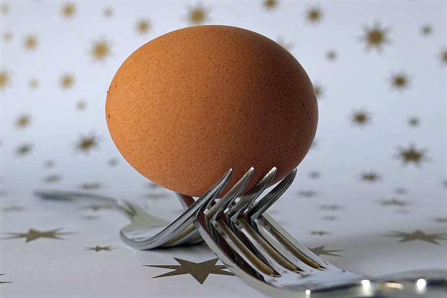 Fork, Egg, Cutlery, Food, Origin Of Life, nutrition, frisch HD wallpaper