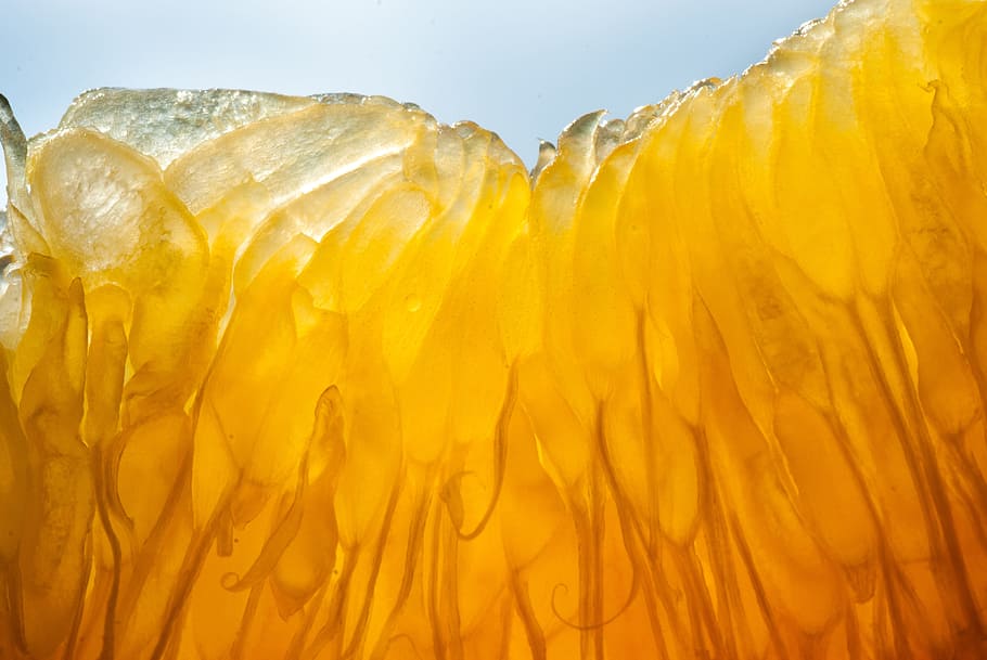 orange, fruit, sun, citrus, fresh, healthy, vitamin, juicy HD wallpaper