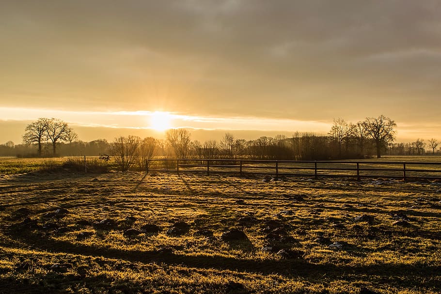 sun, morning, light, sunrise, sky, nature, sunbeam, sunset HD wallpaper