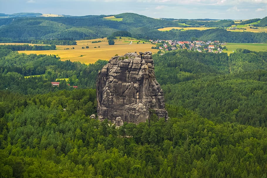 falkenstein, climb, hiking, nature, forest, natura, idyllic HD wallpaper