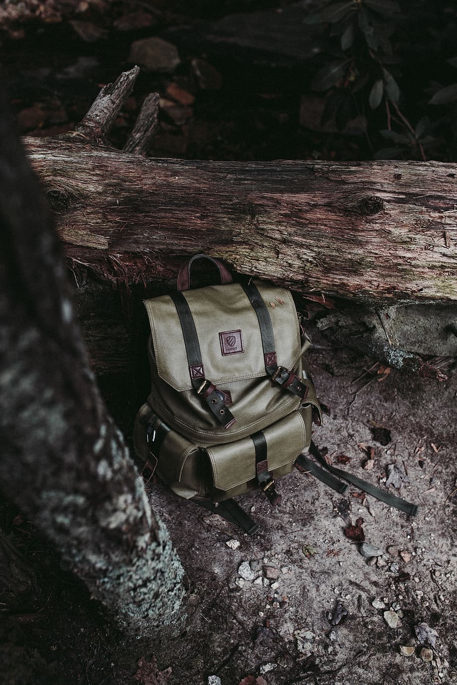 gray kanpsack leaning on brown tree trunk, gray backpack next to log HD wallpaper
