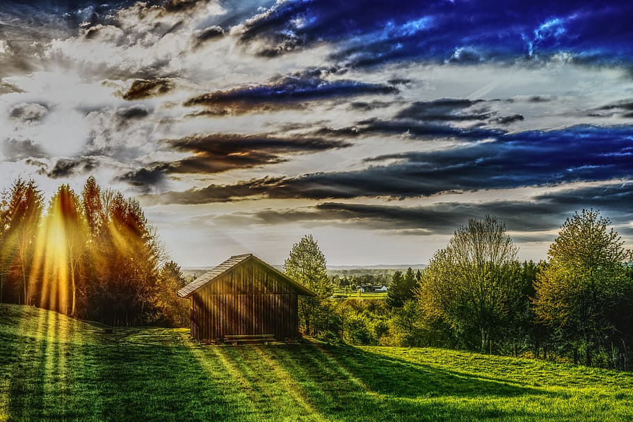 sunlight over green grass field with barn, hut, rural, home HD wallpaper