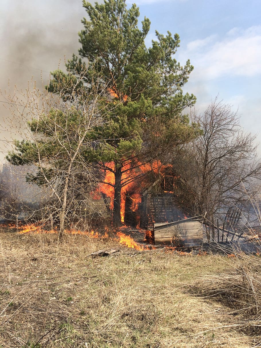house, tree, fire, nature, grass, spring, koster, smoke, vegetation HD wallpaper