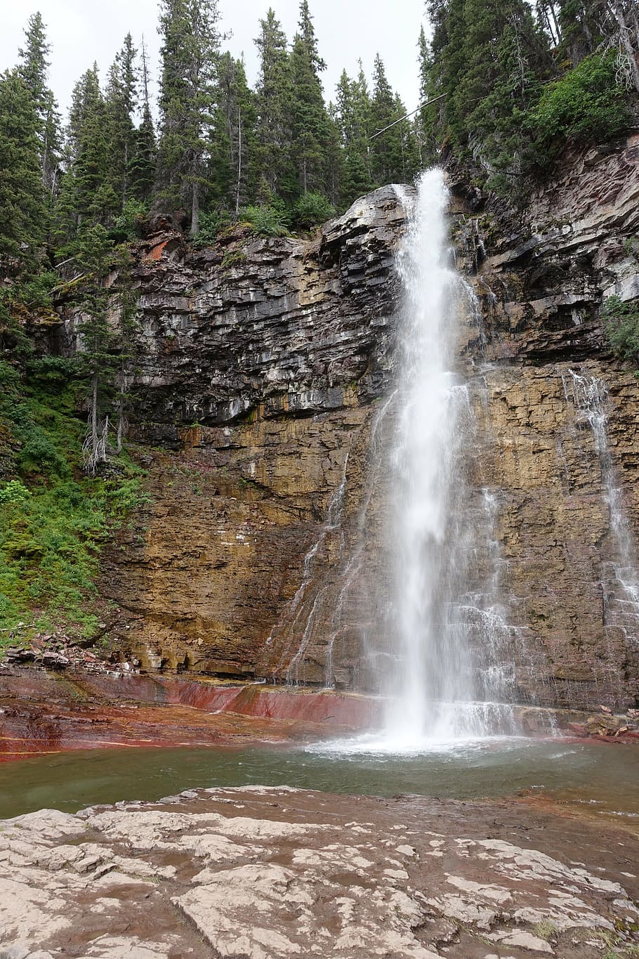 waterfalls under pine trees, west, river, landscape, montana HD wallpaper