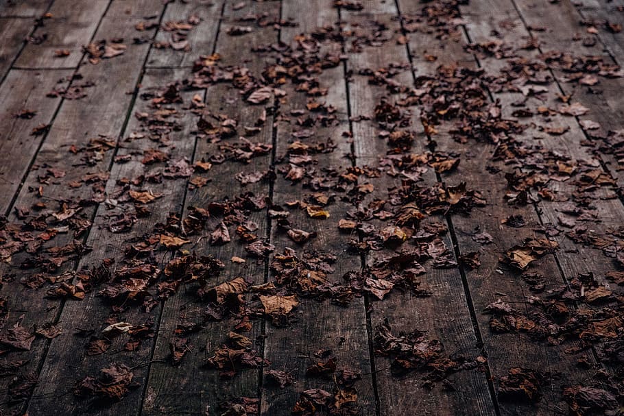 leaf, fall, wooden, floor, wood - material, dry, plant part HD wallpaper
