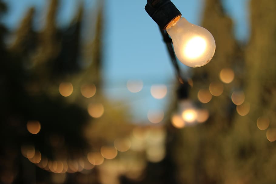 light, warm, light bulb, decoration, illuminated, glowing, lighting equipment HD wallpaper