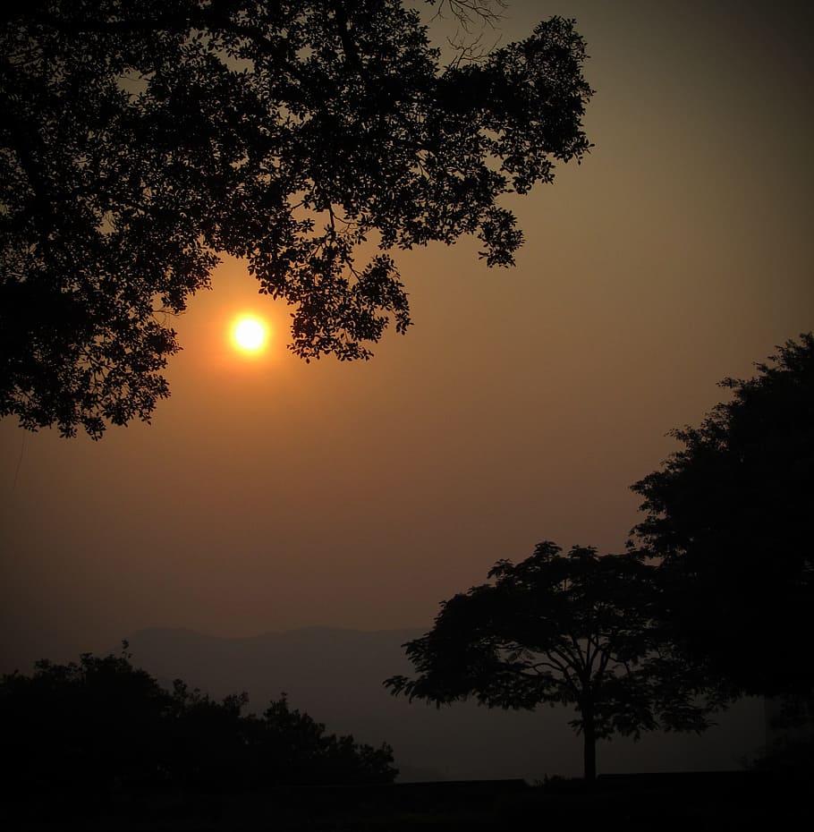 Sunset, China, Asia, Macau, Tree, silhouette, scenics, sky HD wallpaper