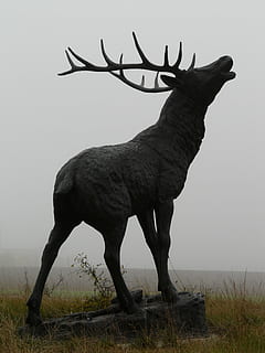 gray concrete deer statue, red deer, bronze statue, hirsch HD wallpaper