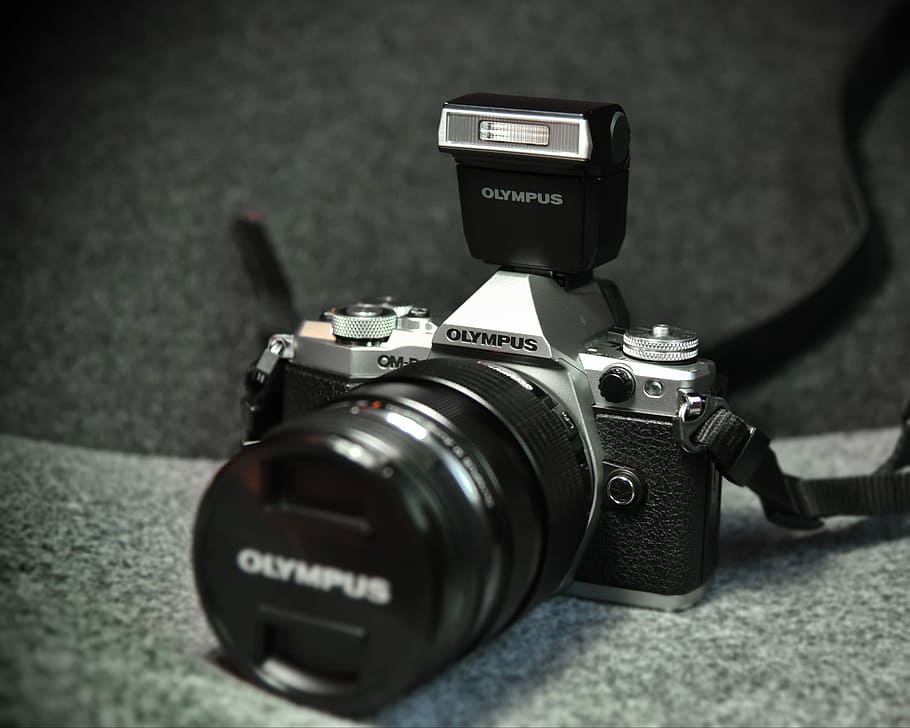 black and grey Olympus camera, grayscale photo of Olympus camera HD wallpaper