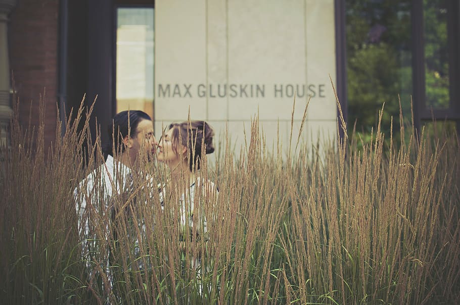 man and woman having a photon shoot at the grasss, couple, kissing, HD wallpaper