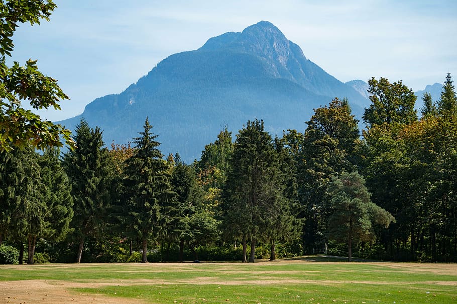 green trees near mountain under blue sky, camp hope, bc, canada HD wallpaper