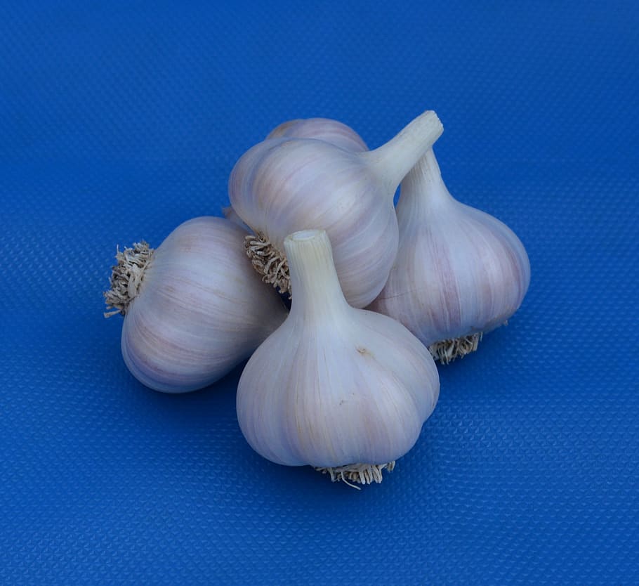 Garlic, Bulb, White, Vegetable, garlic bulb, no people, studio shot HD wallpaper