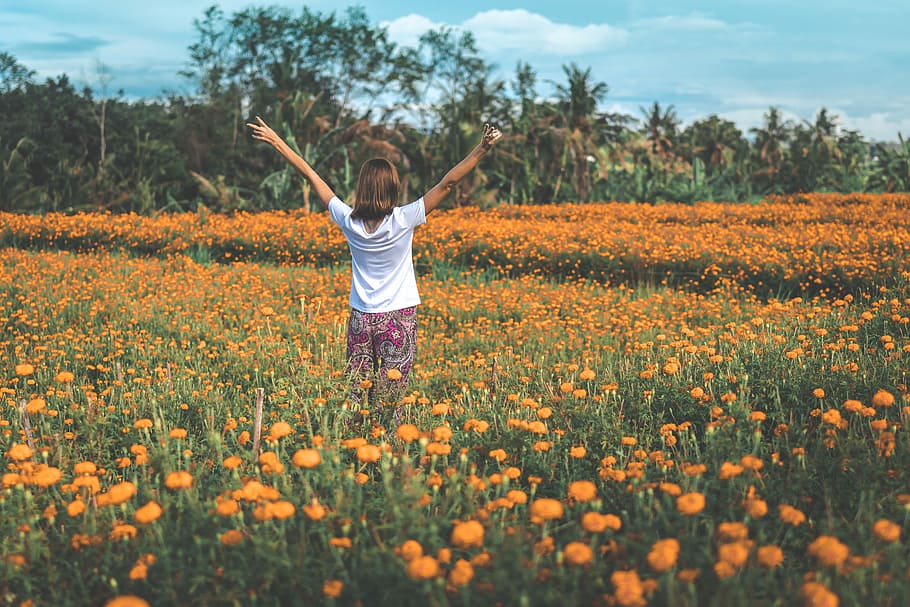 Happy young woman on a marigold field. Bali island, woman standing on green and brown flower plants, HD wallpaper