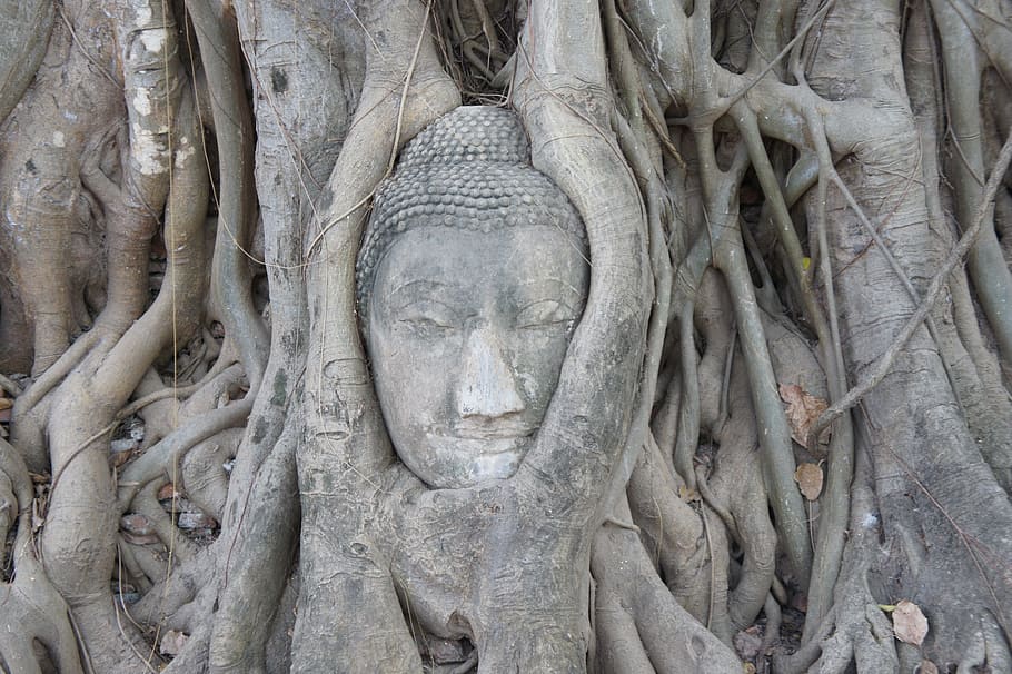 buddha, buddhism, thailand, human representation, sculpture HD wallpaper