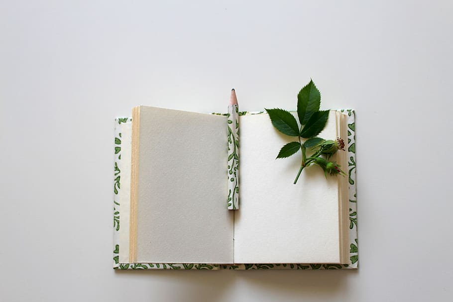 green leaves on open book page, booklet, notebook, write down, HD wallpaper