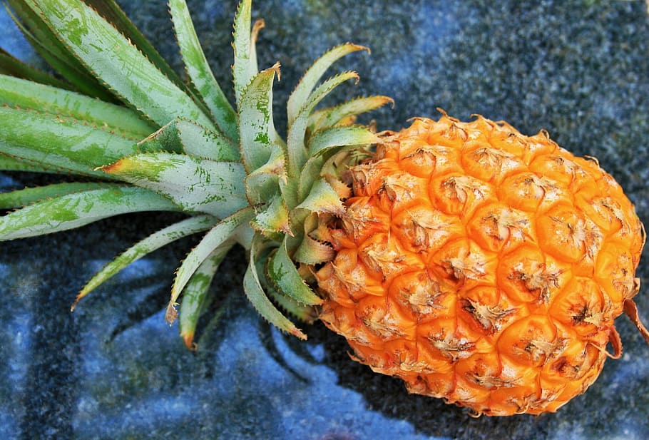 pineapple fruit on black surface, yellow, crown, green, rough HD wallpaper