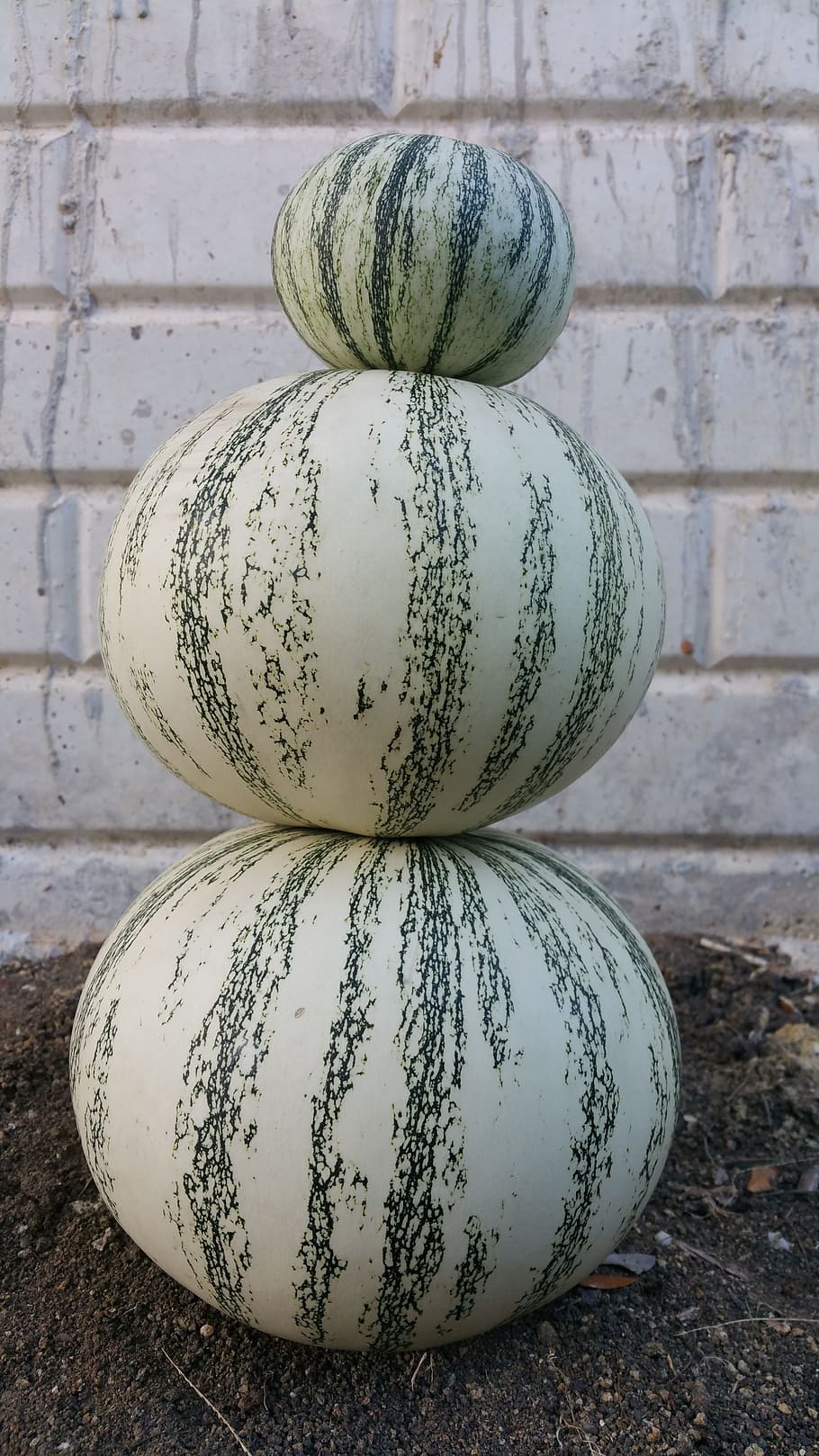 squash, pumpkin, round, food and drink, wellbeing, healthy eating HD wallpaper