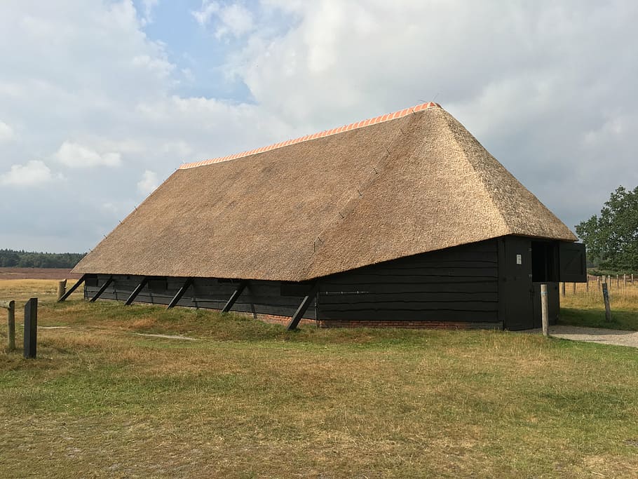 sheepfold, stable, barn, thatched roof, reed, nature, countryside HD wallpaper