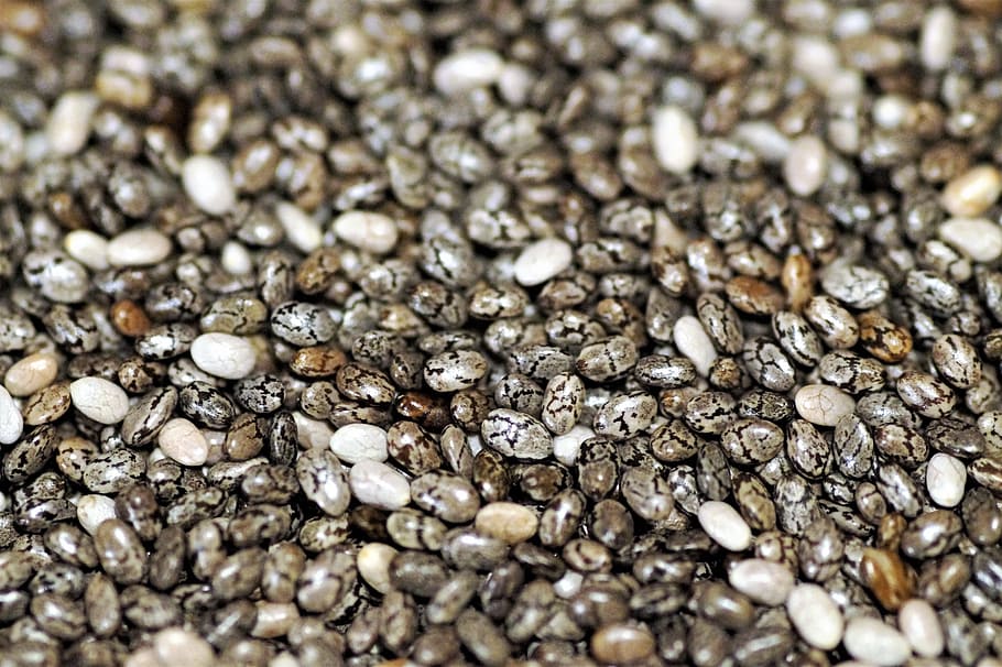 Chia Seeds Background Images HD Pictures and Wallpaper For Free Download   Pngtree