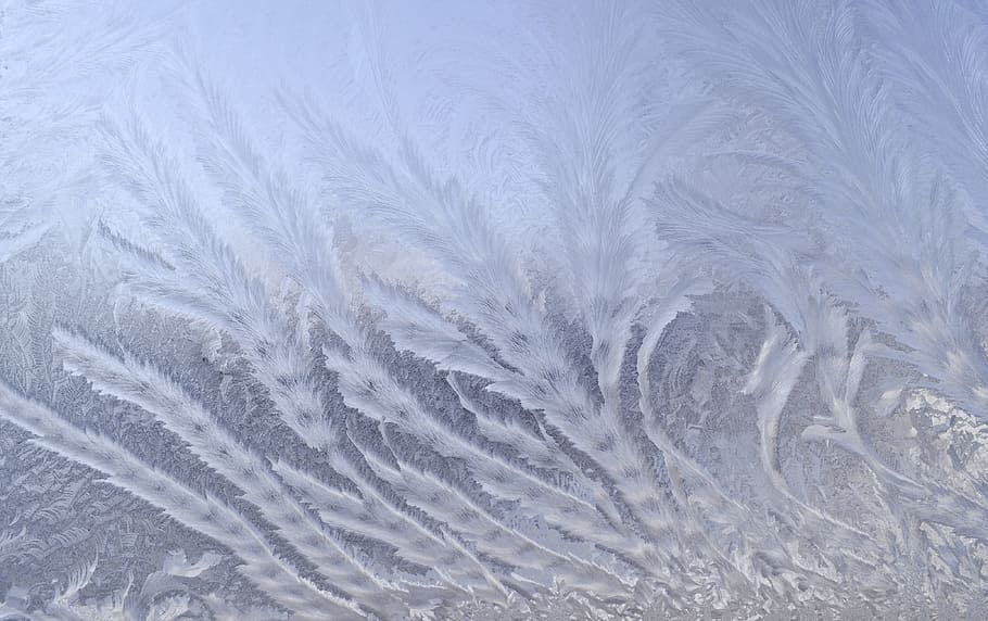 frosted ice close-up photography, leaves, plants, pattern, winter HD wallpaper