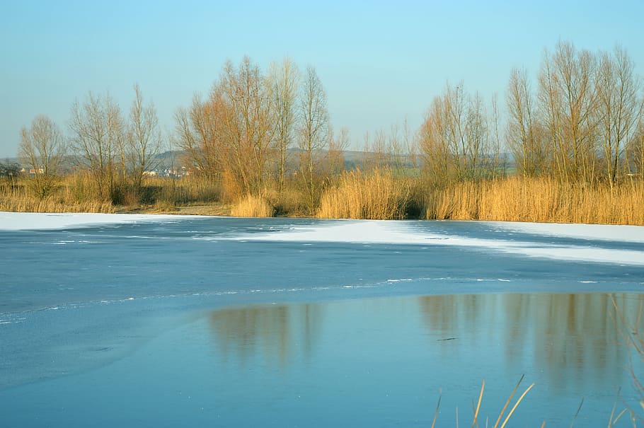 sun, winter, ice, cold, snow, lake, sky blue, water, tree, tranquility HD wallpaper