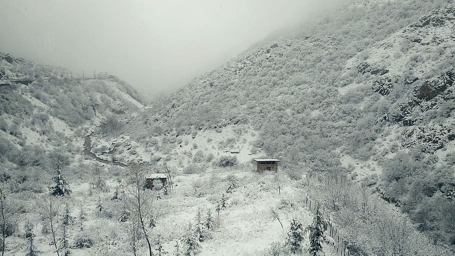white, mountain during forest, winter, snow, nature, landscape HD wallpaper