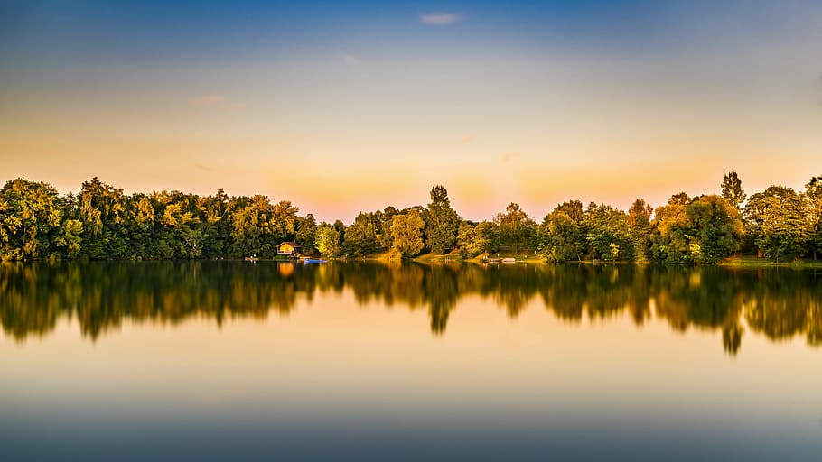 green leafed tree lot, Lake, Water, Pond, Mirroring, Reflection HD wallpaper