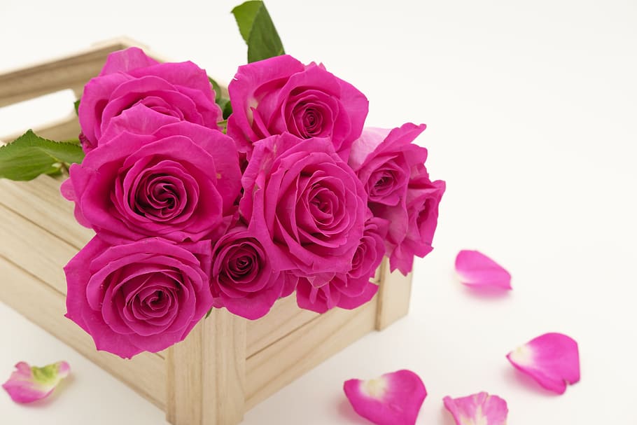 pink rose flowers on brown wooden organizer, bouquet, bouquet of roses, HD wallpaper