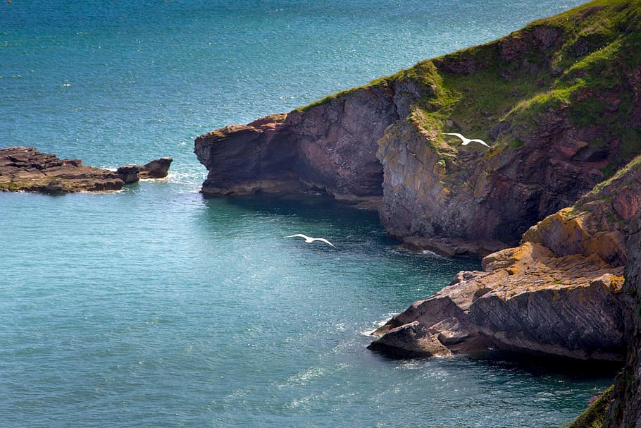 Devon, Torbay, Brixham, Sea, Coast, Town, coastal, england HD wallpaper