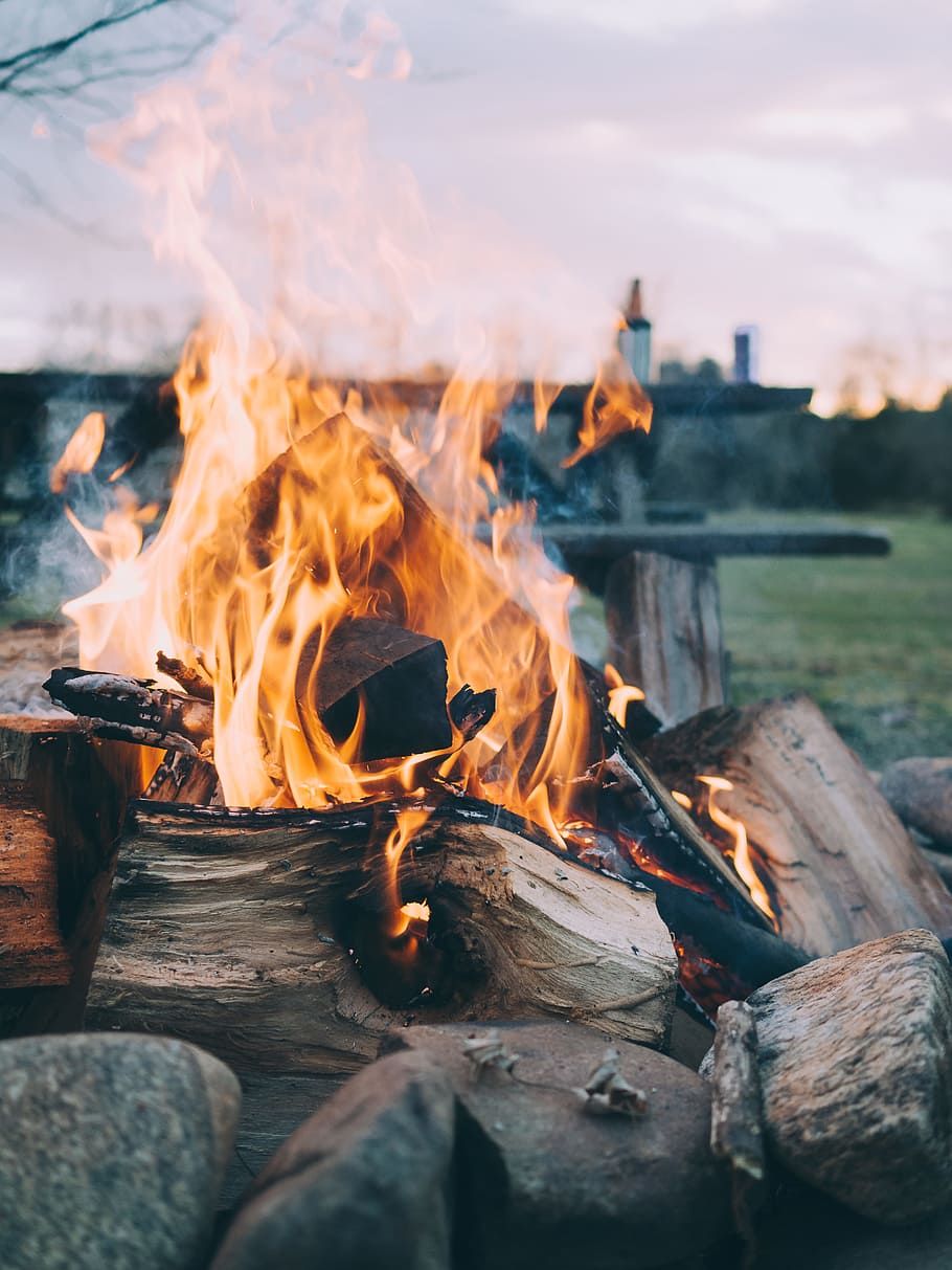 selective focus photography of bonfire, time lapse photography of burning wood logs, HD wallpaper