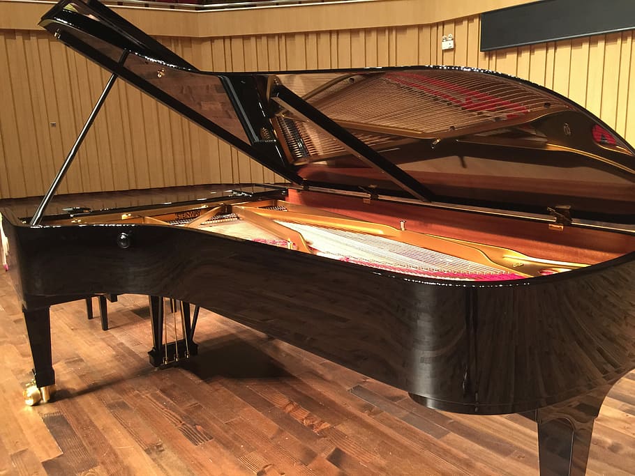 Changsha Concert Hall, Stage, steinway piano, musical Instrument