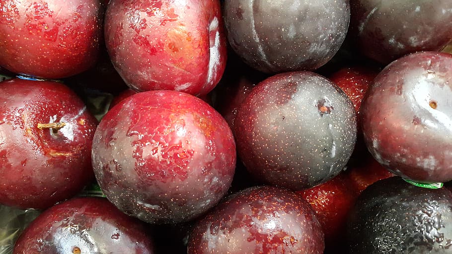 plum, fruit, ummer, cadeg, rj, food and drink, healthy eating HD wallpaper