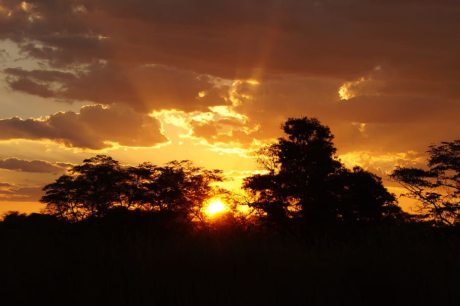 sunset, afterglow, landscape, africa, botswana, okavango, sky, HD wallpaper