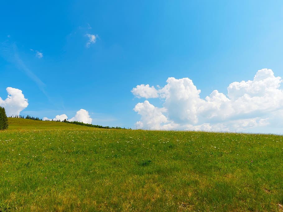 Landscape, Fields, Nature, sky, pre, cloud, summer, hay, space HD wallpaper