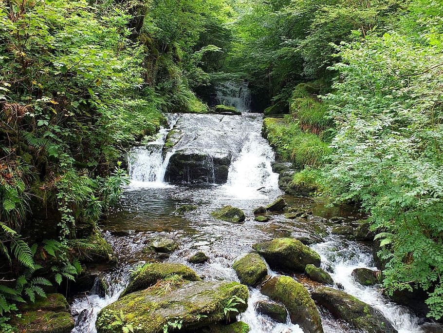 waterfall, river, stream, forest, rocks, nature, beauty in nature HD wallpaper