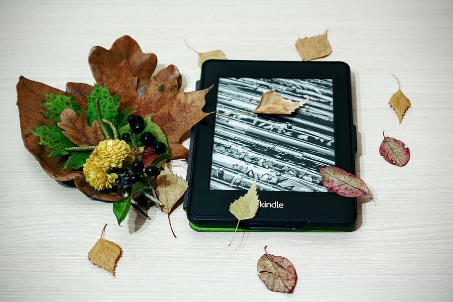 black Amazon kindle e-book reader with leaves, pepper white HD wallpaper